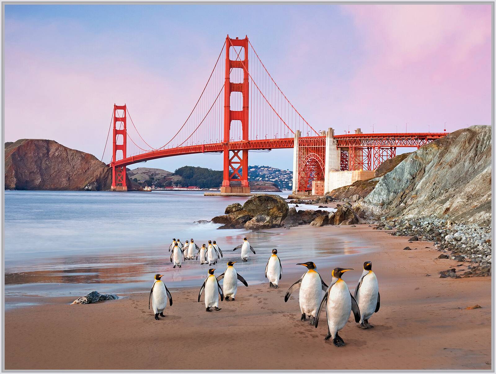 San Francisco Emperor Penguins by Robert Jahns - Open Edition.