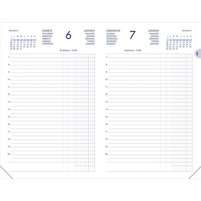 Lecas Comptoir Euro Centimes - Agenda 1 jour par page - 15 x 27 cm - noir