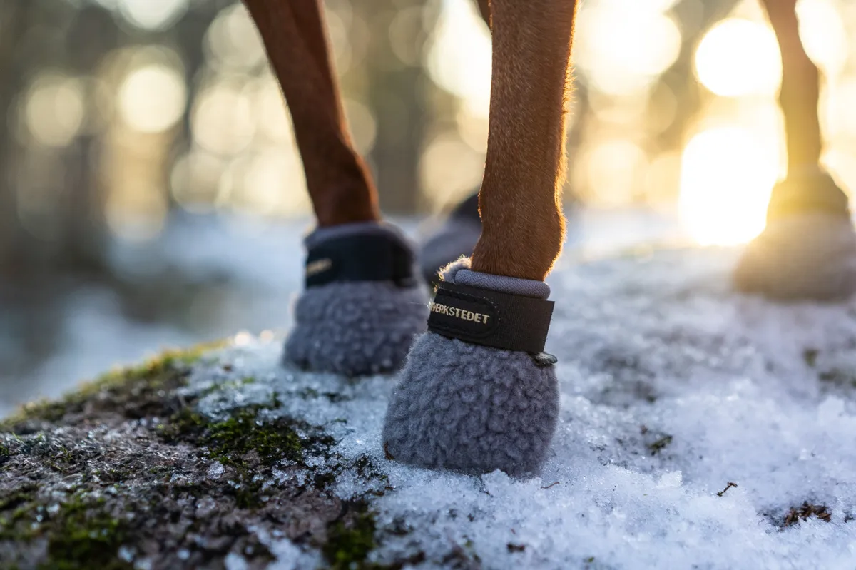 Seleverkstedet Seleverkstedet Fleece grey dog boot 4pk Grå/svart