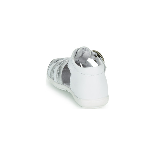 Citrouille et Compagnie - RINE - Blanc / Argent