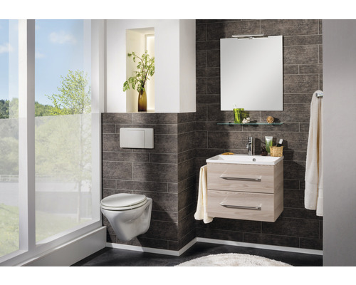 Fackelmann glasplank 60x12 cm chroom