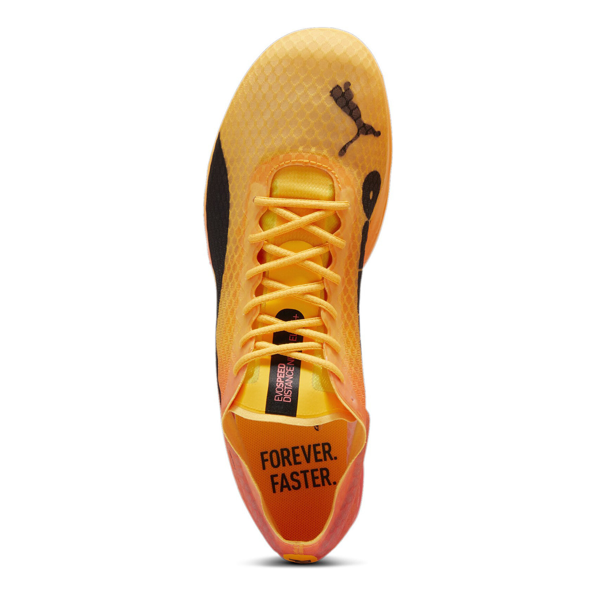 Puma EvoSPEED Distance Nitro Elite+ 4 Spikes - Orange , Noir