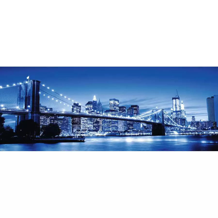 Ravensburger Leuchtendes New York bunt