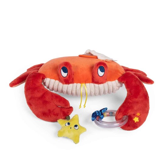 Les Aventures de Paulie Grand crabe d'activités   de               Moulin Roty