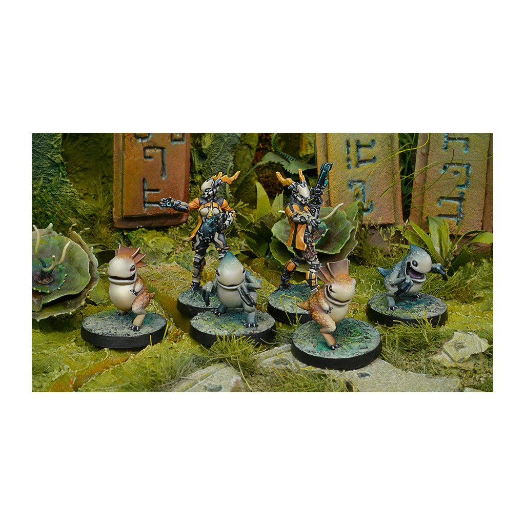 Infinity - Tohaa - Kaeltar Specialists