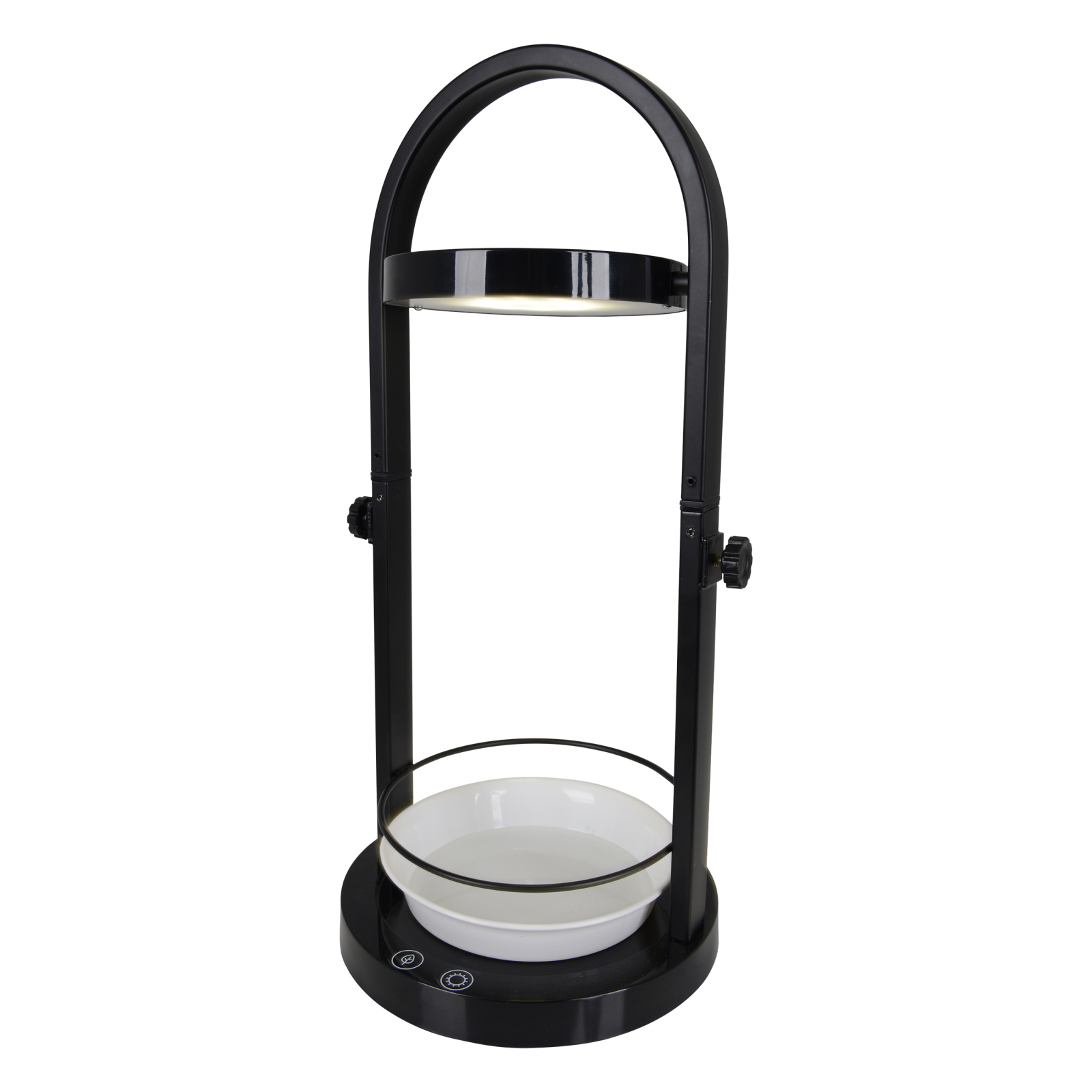 LED-Pflanzen-Tischleuchte - schwarz - Touchschalter
