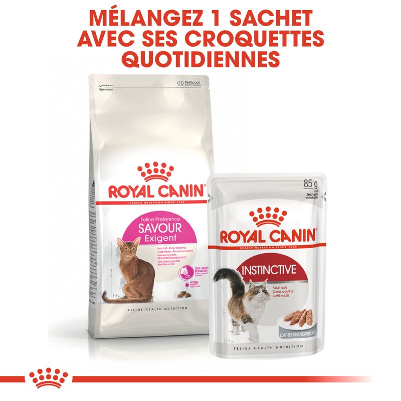 Royal Canin Savour Exigent à prix discount sur bitiba.fr