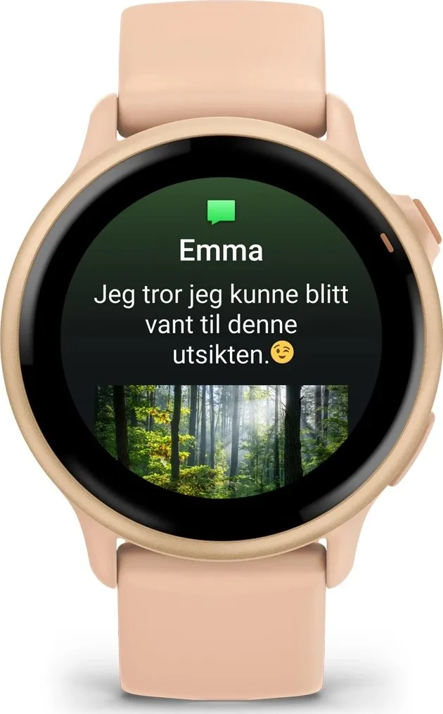 Garmin Vivoactive 6 Pink Dawn/P. Dawn Metallic