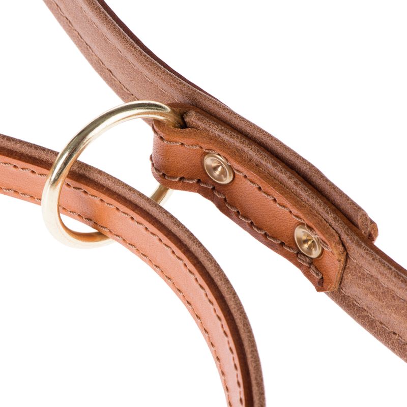 Laisse Heim Buffalo