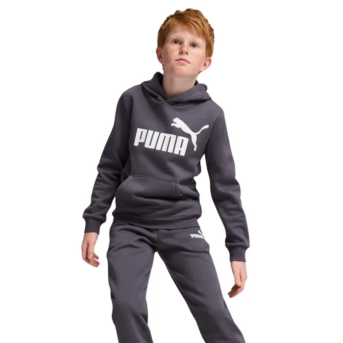 Puma Essential Hoodie Junior