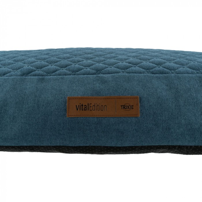 Coussin à mémoire de forme Tonio