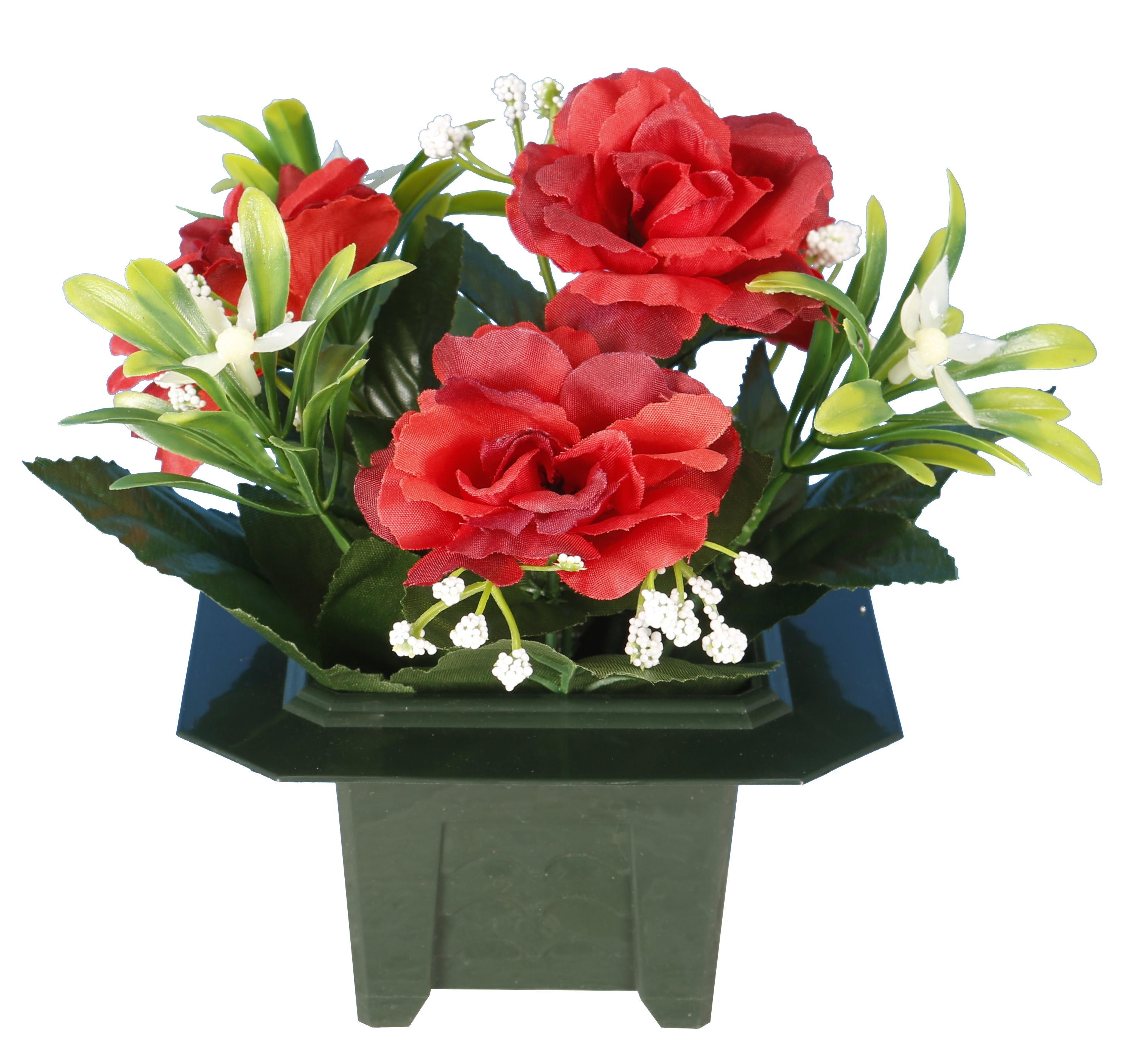 COLUMBARIUM POT DE ROSETTES