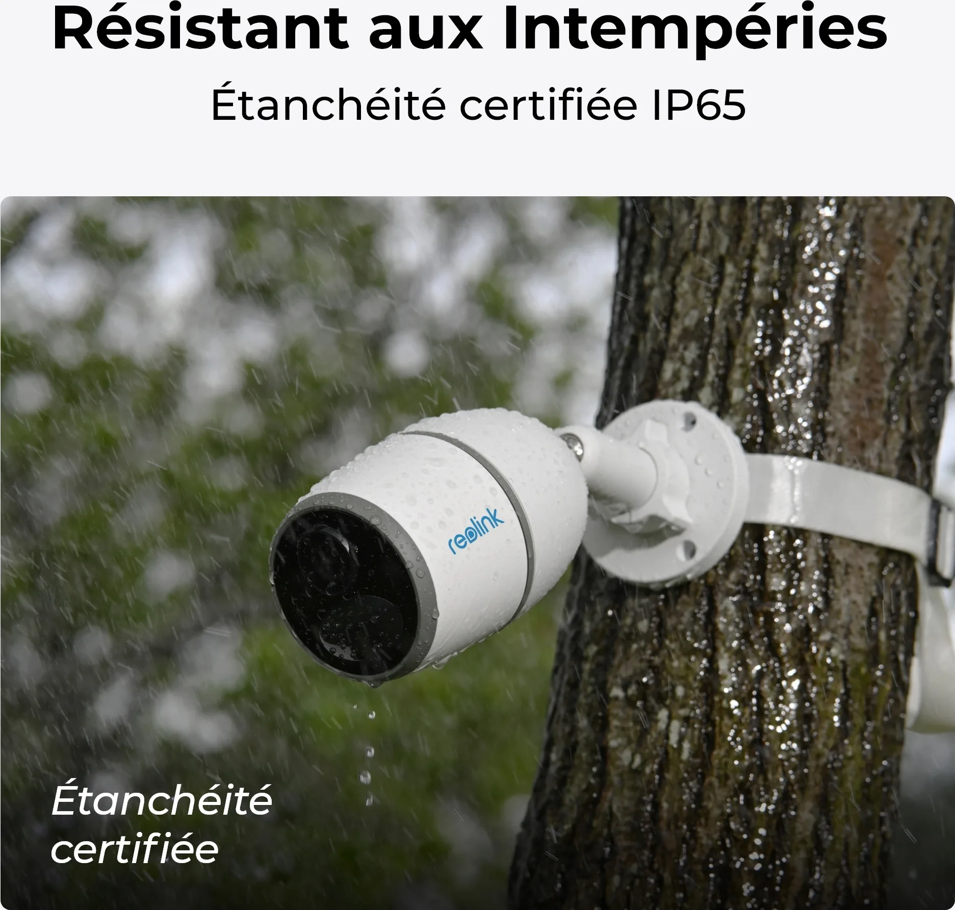 Reolink Go Series G330 avec panneau solaire Caméra de surveillance