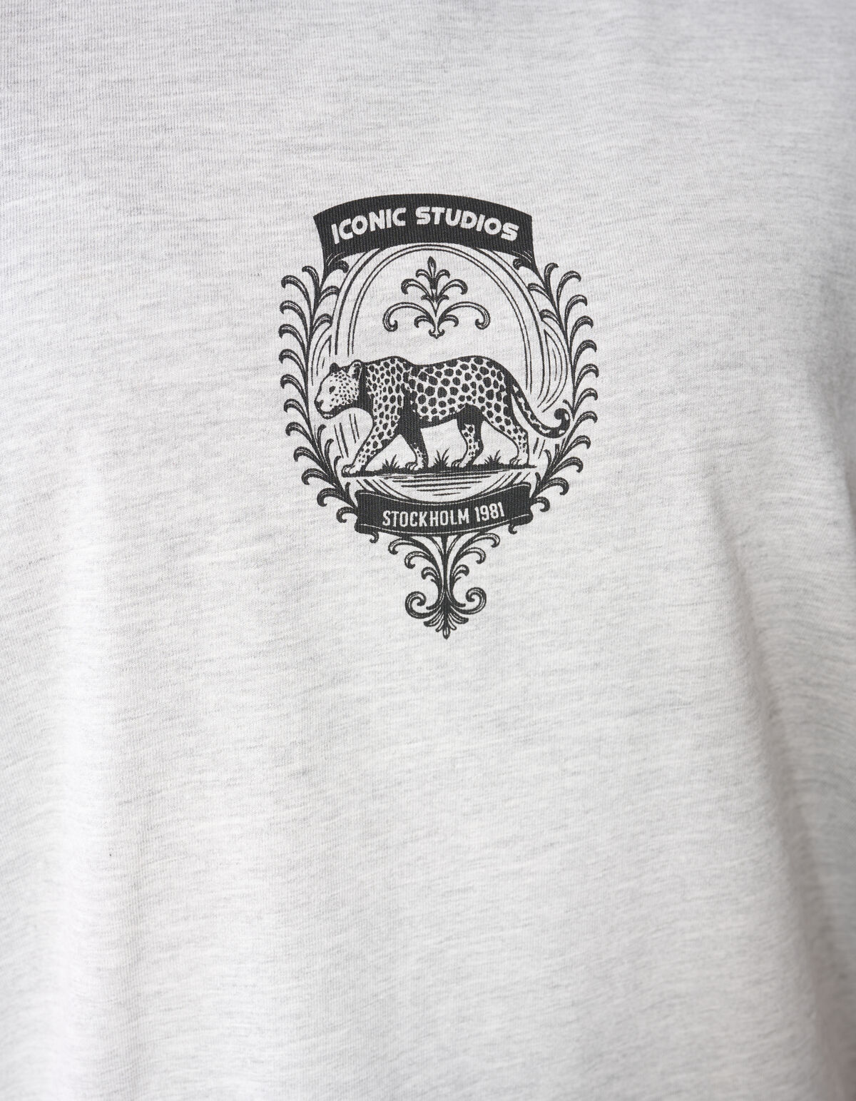 Graphic Artwork T-shirt Lichtgrijs