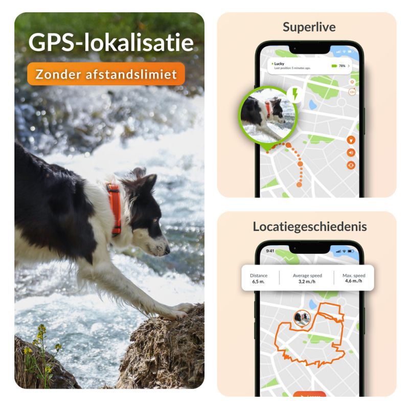 Weenect XT - Halsband met GPS tracker - Oranje