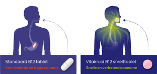 Vitakruid B12 Combi 10.000 Met Folaat Smelttabletten 120TB