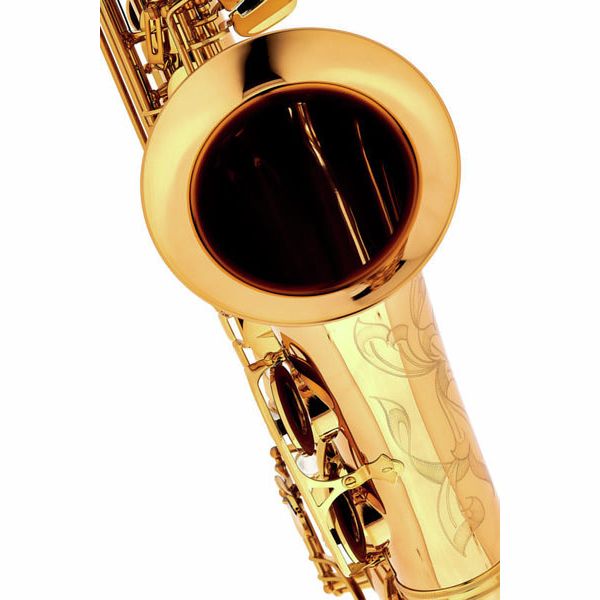 Thomann Custom Line Bronze TLBBZG