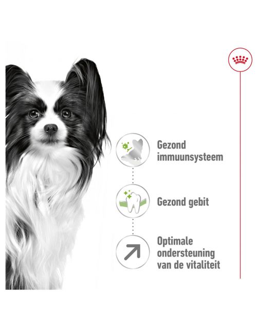 Royal Canin X-Small Adult 8+ - Hondenvoer