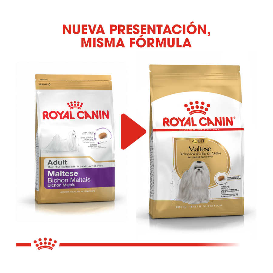 Ração Royal Canin Adult Bichon Maltese para cães