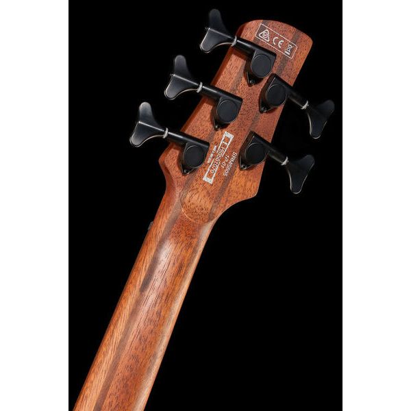 Ibanez SRMS805-DTW Workshop
