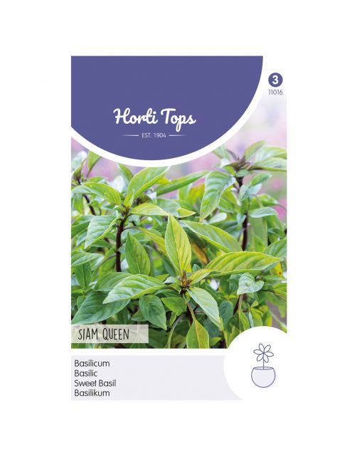 Hortitops Basilicum Siam Queen - Kruidenzaden - 200 g