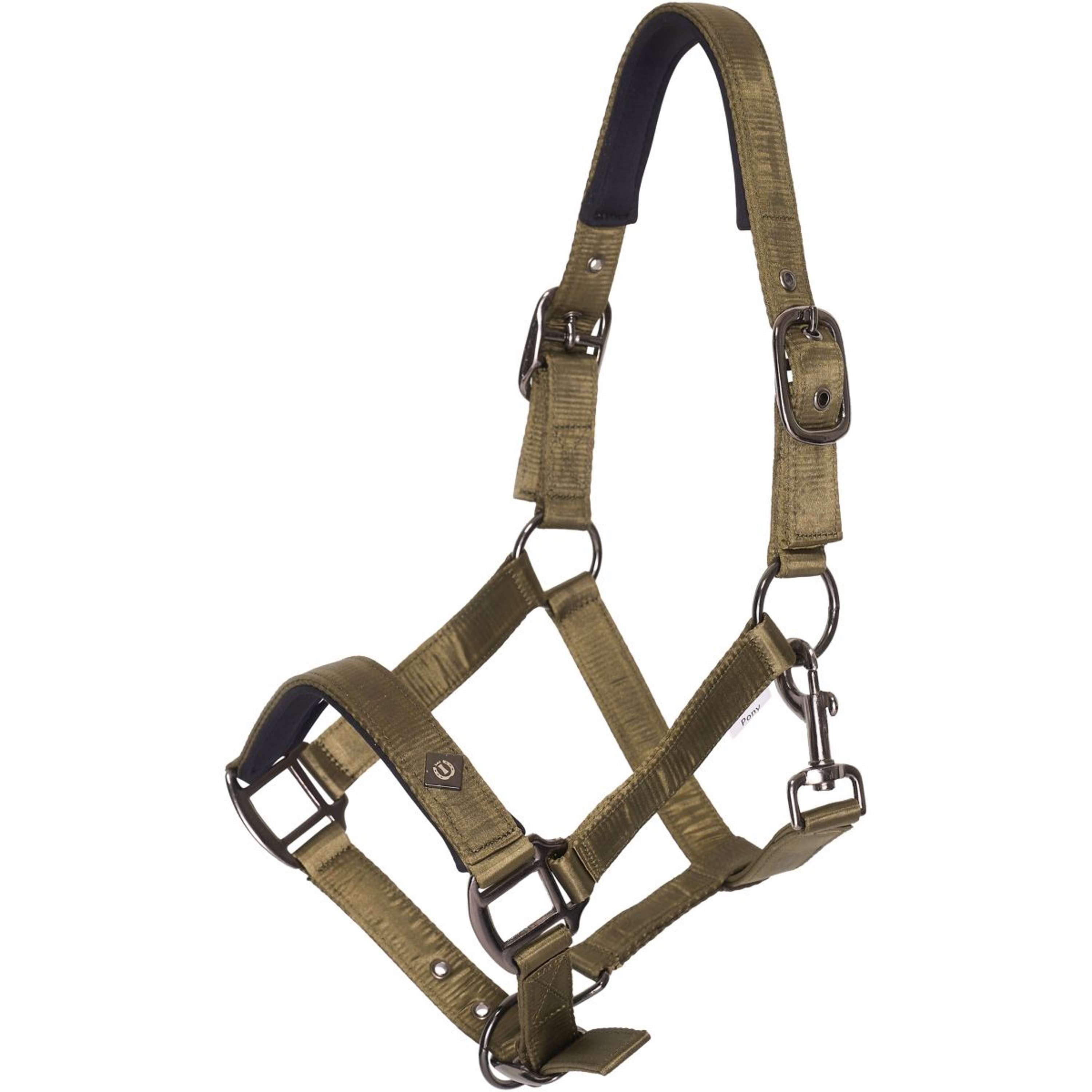 Imperial Riding Halster IRHRebel Olive Green