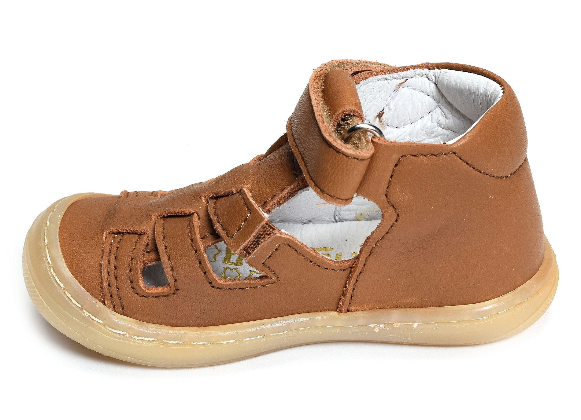 Lopp camel