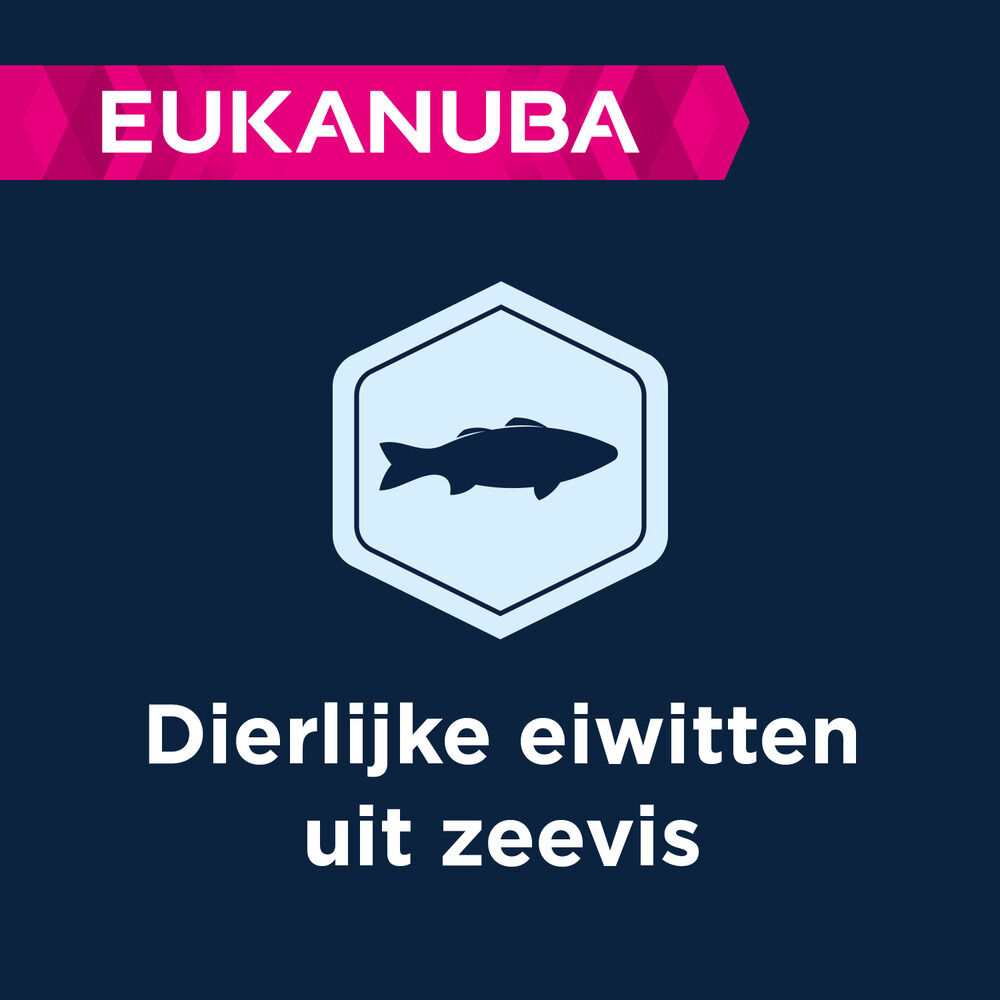 Eukanuba Adult Large breed Graanvrij - Hondenvoer - 3 Kilogram - vis