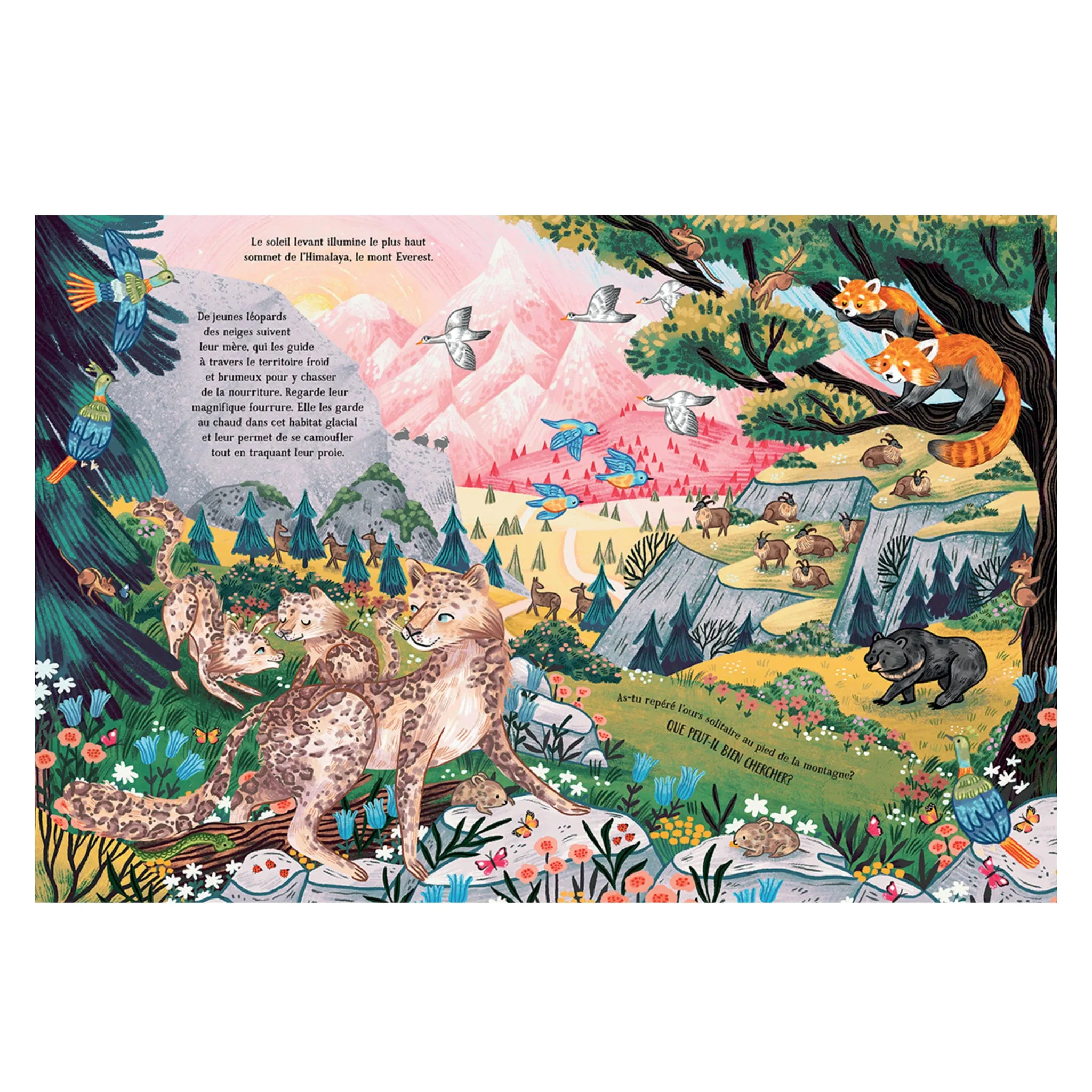 Prologue Les Secrets De La Montagne
