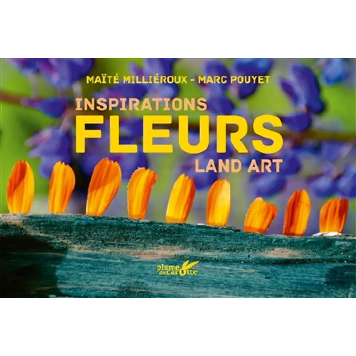 Fleurs : inspirations land art · Occasion