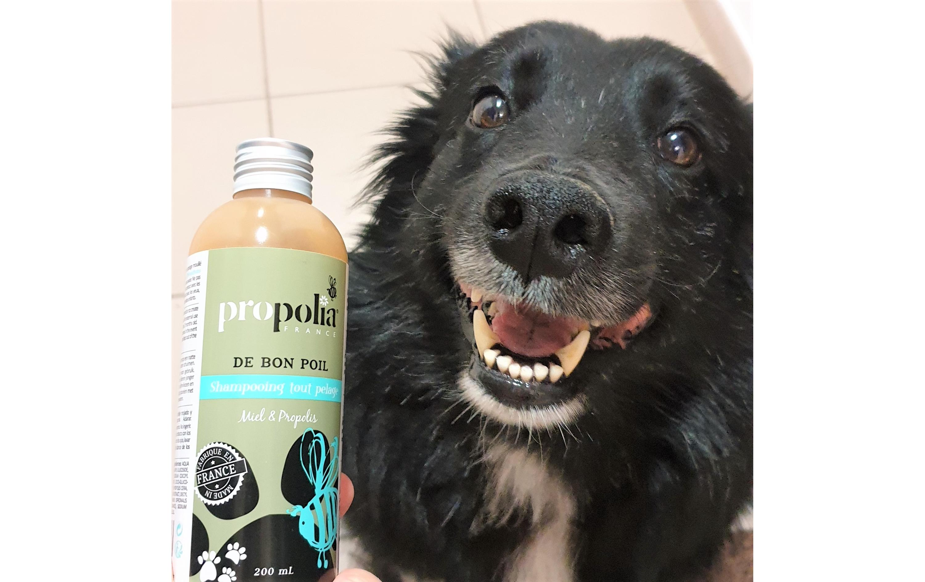 Shampoo für alle Felle für Tiere 200 mlHaarwaschmittel für alle Fellarten
