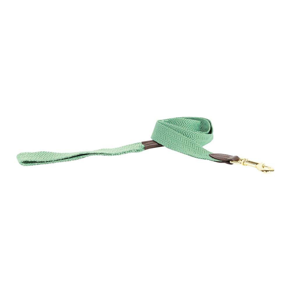 Kentucky JACQUARD - Laisse pour chien olive green
