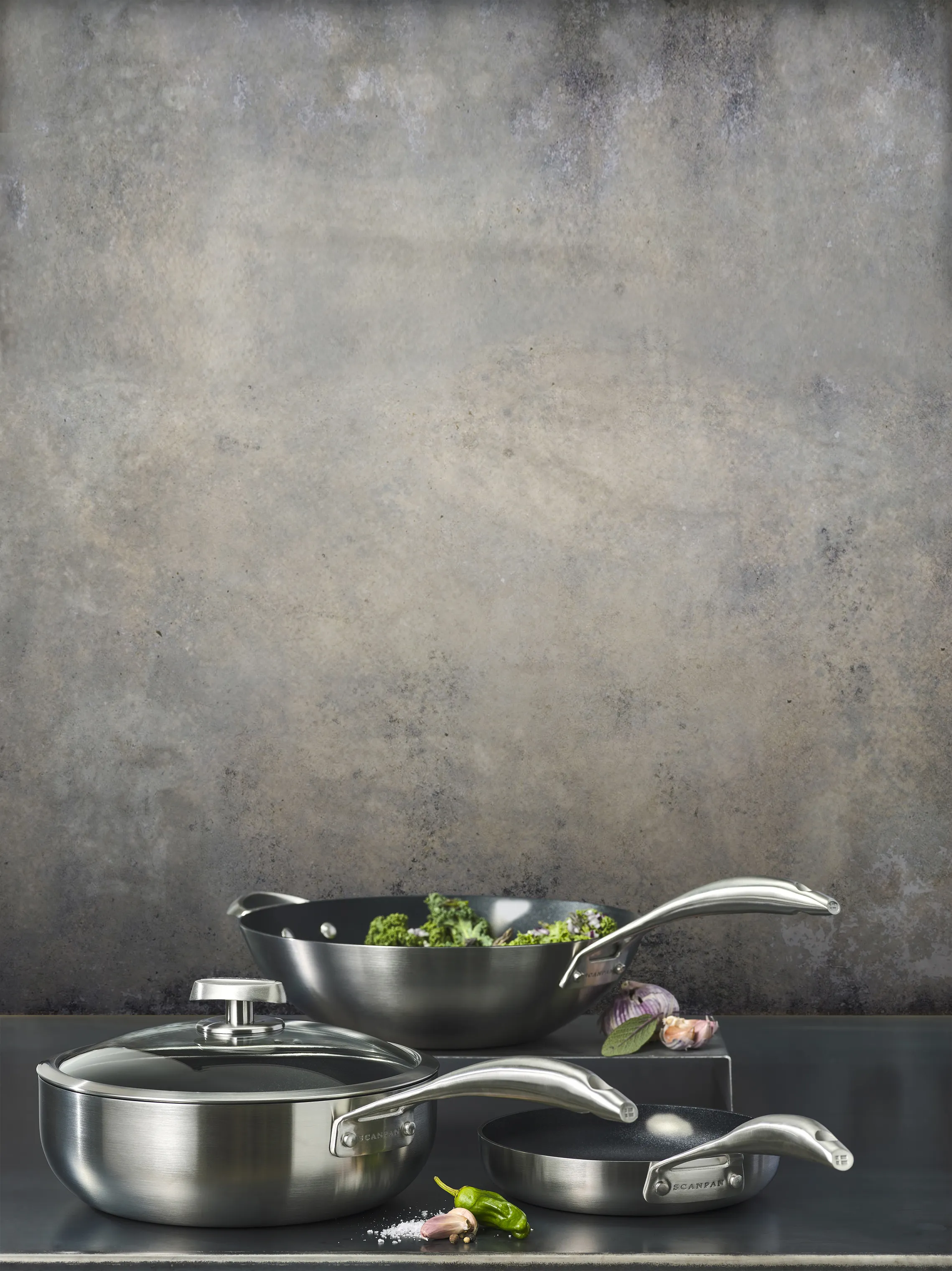 Scanpan CS+ Stegepande