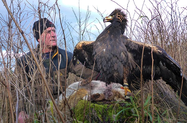 Adler-Erlebnis in Wunsiedel als Geschenkidee