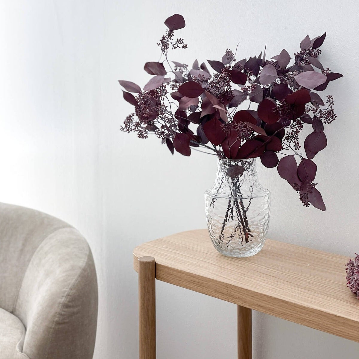 Eucalyptus populus met bessen | bosje