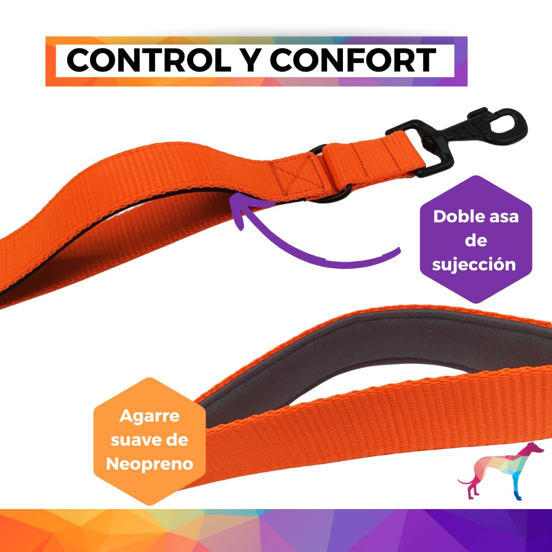Guia para cães EGV com múltiplas posições e alça dupla de neoprene. Guia para cães que permite o uso com as mãos livres, com 2,5 metros de comprimento. (Laranja)