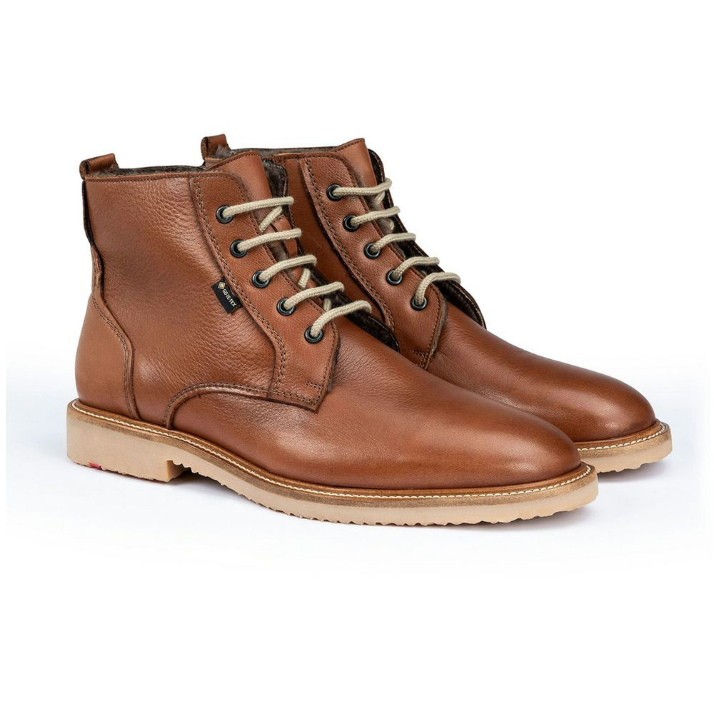 Lloyd24-528 Varon