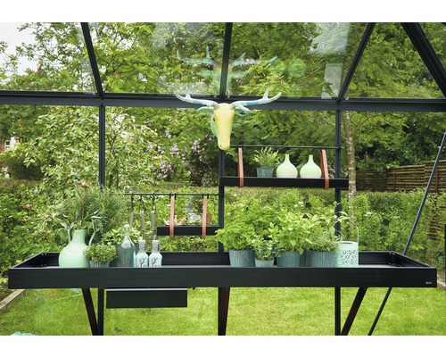 JULIANA Oasis kas, 3 mm veiligheidsglas, 368 x 368 cm, antraciet/zwart