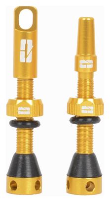 Paire de Valves Tubeless Progress PG-719 Presta 40mm Or