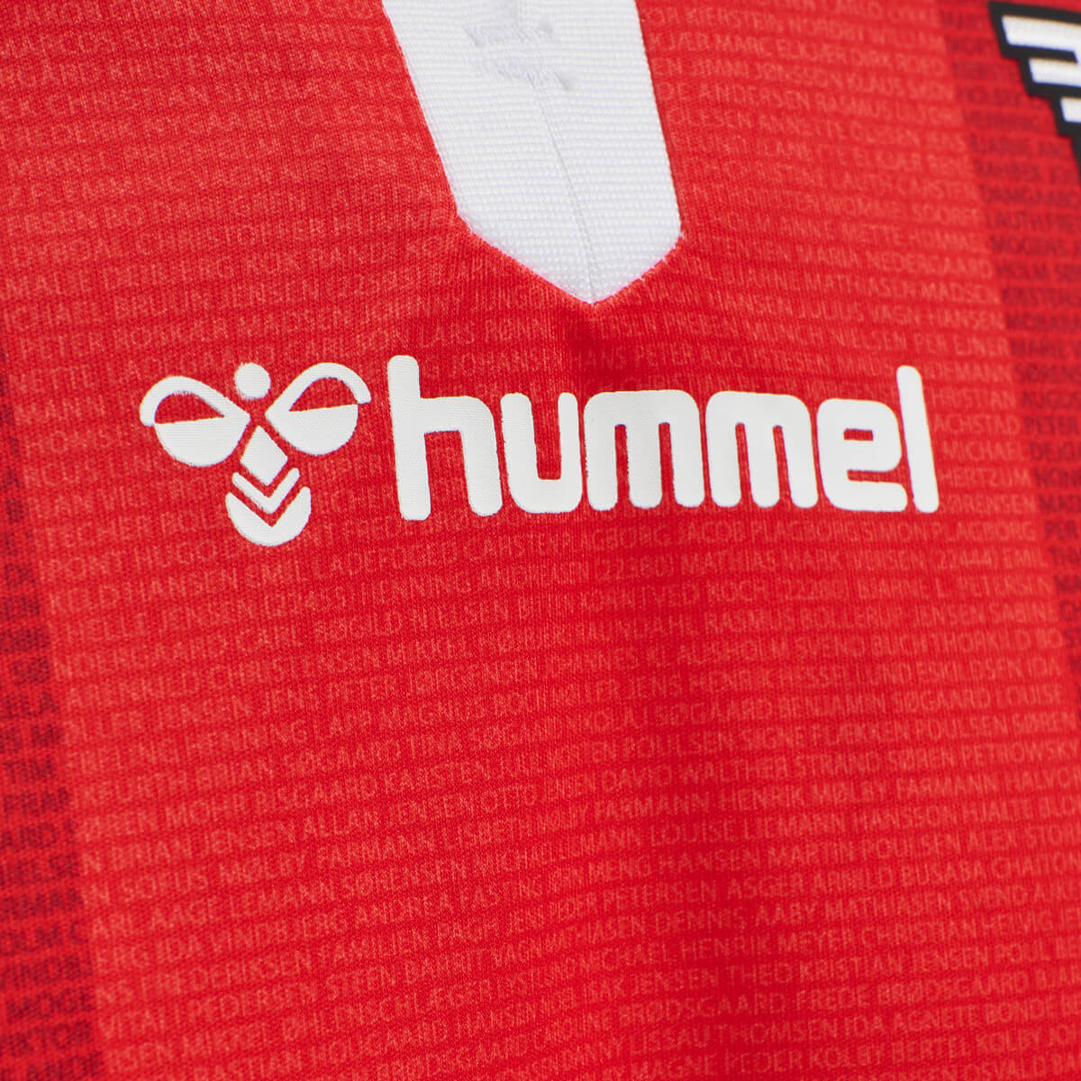 hummel Vejle B Hjemmebanetrøje 21/22 Herre