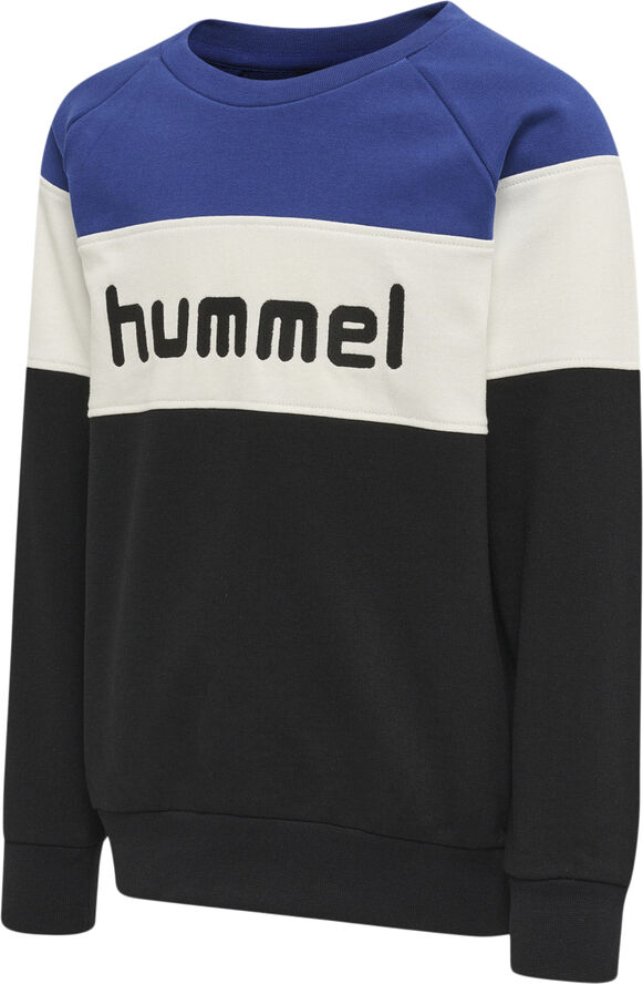 Hummel Claes sweatshirt Multifarvet