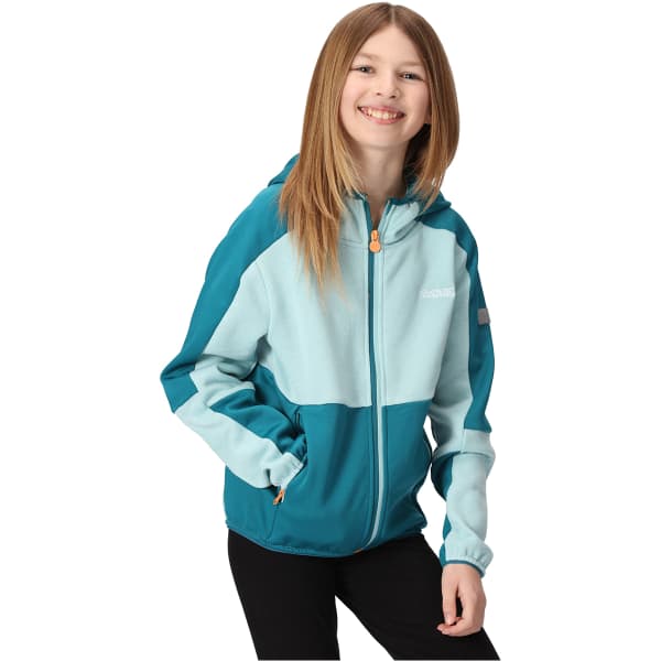 Veste polaire randonnée REGATTA DISSOLVER VII SEA HAZE/GULFSTREAM