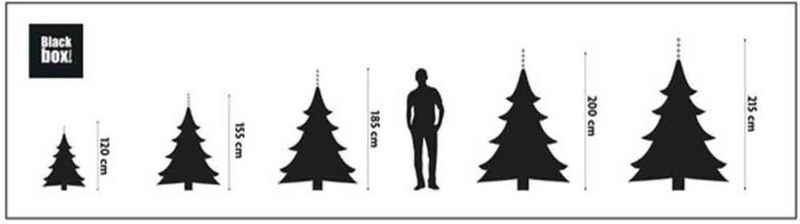 Black Box Trees Frasier Kunstkerstboom met LED verlichting - H120 cm - groen