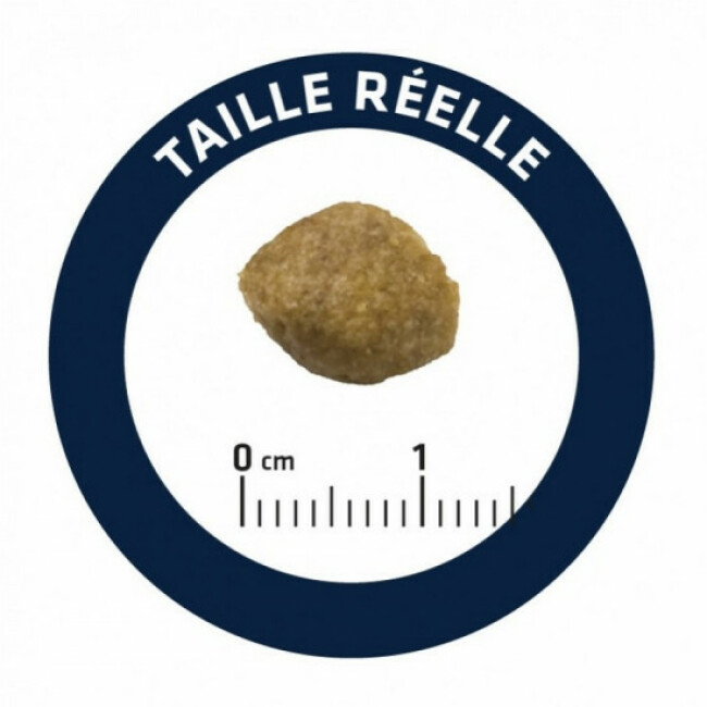 Croquettes Advance Veterinary Diets Urinary pour chiens
