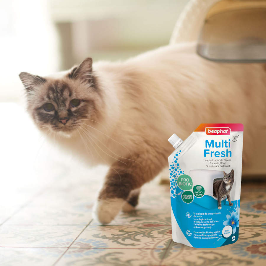 Beaphar Multi Fresh Sea Breeze Neutralizador de Odores para Gatos