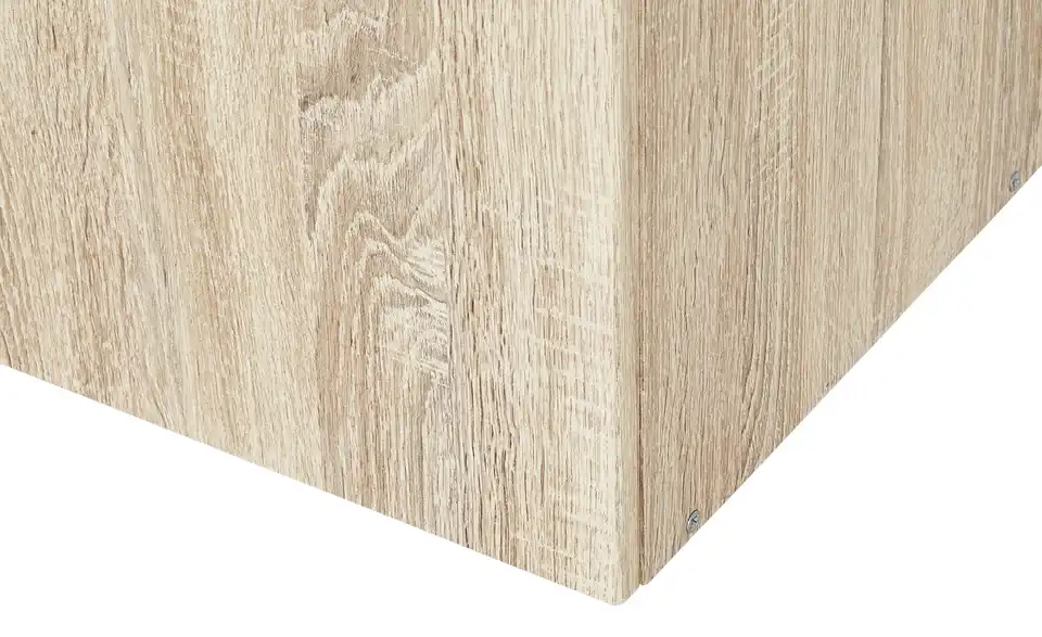 Schrank, 2-türig Multischrank-System Eiche sägerau (Nachbildung) 80 cm