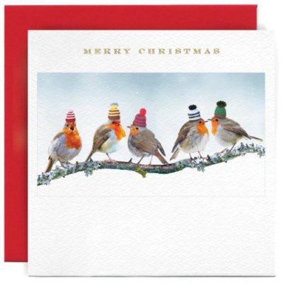 Robins in Hats