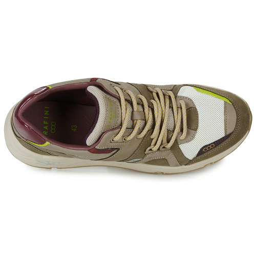 Serafini - TOKYO - Beige / Bordeaux