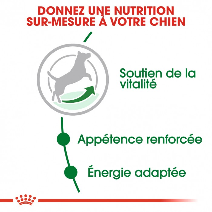 Royal Canin Mini Adult 8+ - Croquettes pour chien