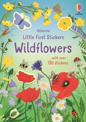 Little First Stickers Wildflowers - Little First Stickers (Paperback)
